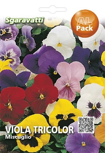 Viola TRICOLOR